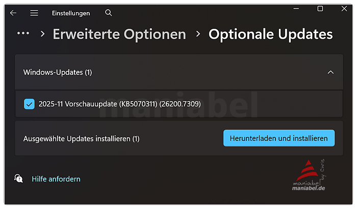 Windows Update